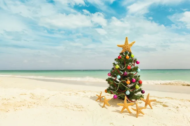 Christmas tree on Mexican beach