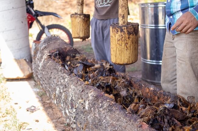 Sustainable Tequila Production